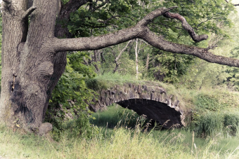 Заброшенные усадьбы: путешествие по исчезающим страницам истории