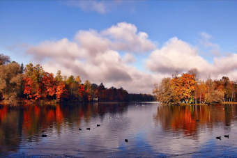 Индивидуальная экскурсия в Гатчину на автомобиле