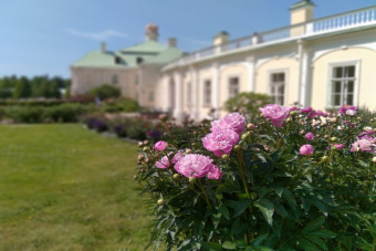 Экскурсия по Ораниенбауму