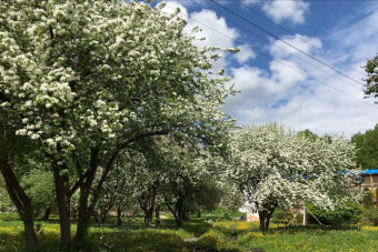 Экскурсия в Порхов с посещением дворянских усадеб