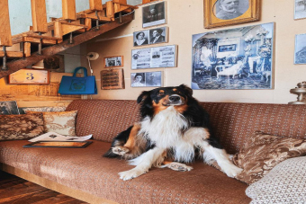 Чаепитие в старинной квартире в доме Бака