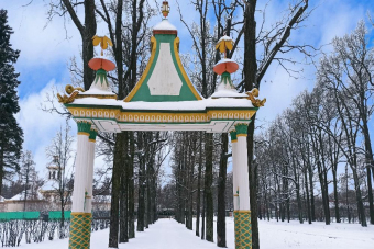 Экскурсия в Царское Село с посещением Екатерининского Дворца в мини-группе