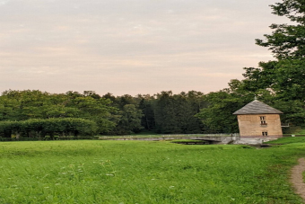 Семейная прогулка по Павловскому парку