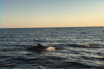 Морская прогулка на парусной яхте из порта Сириуса