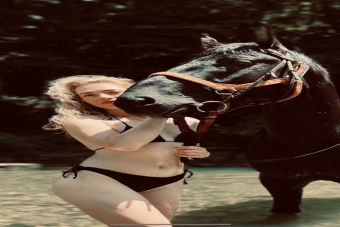 Конная прогулка по заповедным тропам