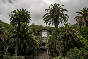 Джип-тур Абхазия: Гагра, Мандариновый сад, о. Рица и Гегский водопад!