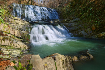 Экскурсия по Сочи для детей и родителей: ферма, аквариум и парк развлечений
