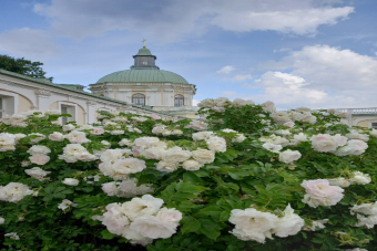 Ораниенбаум: большая пешеходная прогулка (Верхний парк и Нижний сад)