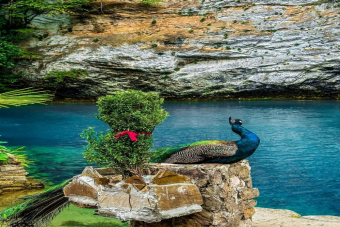 Эксклюзив джип-тур: «Зимняя сказка на озере Рица и Мандариновый сад»