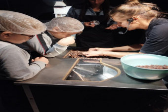 Путь какао от боба до шоколадной плитки: шоколадная фабрика Frais