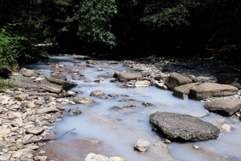 Золотое кольцо Сочи