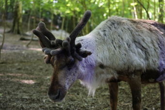 Панорамы горы Ахун с выбором маршрута