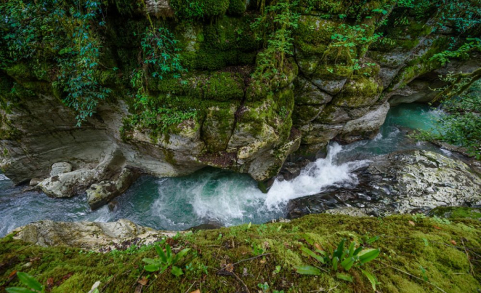 Незабываемая природа местных субтропиков