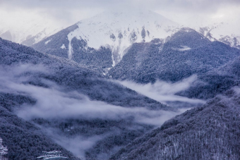 Красная Поляна заповедная