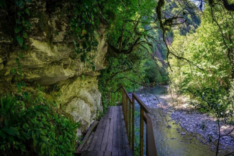 Навалишенское ущелье и Тисо-самшитовая роща