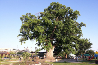 Тайны и легенды долины реки Шахе