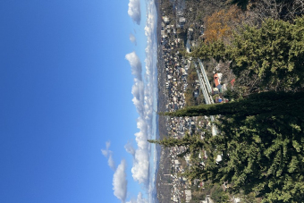 Нескучный Сочи — семейный авто-пеший тур с гидом