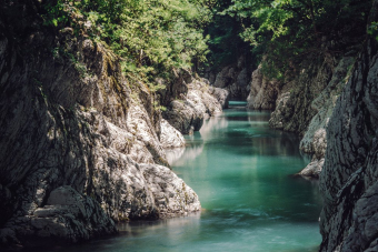 Активный день в Сочи: поход к змейковский водопадам через плантации чая