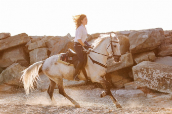 На лошадях к Чёрному морю