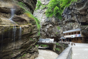 Восточная Апсны: Сухум, термальный источник Кындык и мандариновый сад