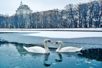 Бал у Булгакова: по страницам романа «Мастер и Маргарита»