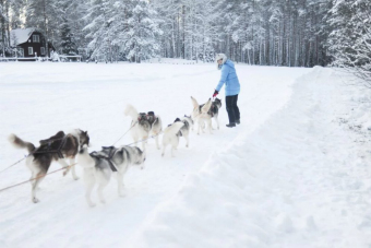 Гран-тур Вся Карелия за 3 дня