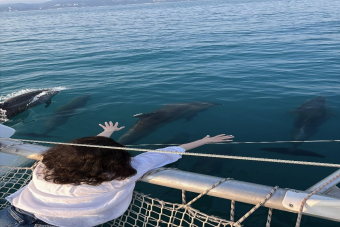Прогулка на парусной яхте к дельфинам с фотосессией