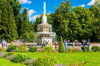 Экскурсия в Петергоф на автомобиле: фонтаны и малый дворец на выбор