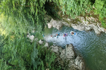 Экскурсия по Сочи для детей и родителей: ферма, аквариум и парк развлечений