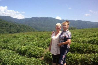 Чайно-гастрономический тур