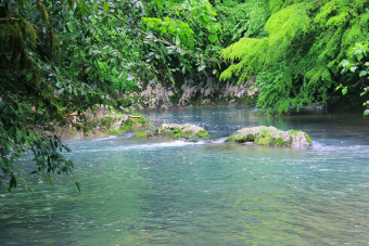4 в 1: Гагра, Сухум, ущелье Черниговка и горячий источник Кындыг