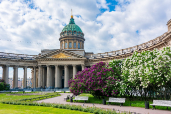 Петербург и 4 лапы