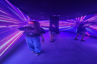 Индивидуальная экскурсия по музею «Арт и Факты» (МАФ)