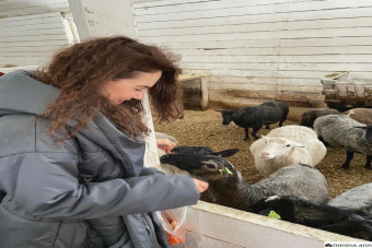 Тур на ферму-сыроварню в деревню Матокса