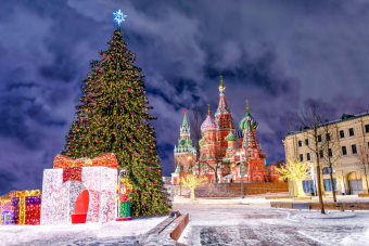 Главные ёлки центра столицы — пешеходная экскурсия по новогодней Москве