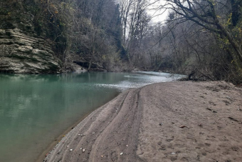 Навалишенское ущелье и Тисо-самшитовая роща