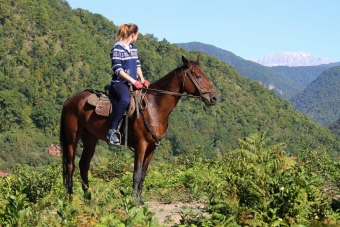 На лошадях к Чёрному морю