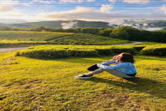 Free Way — по лучшим местам города с гидом