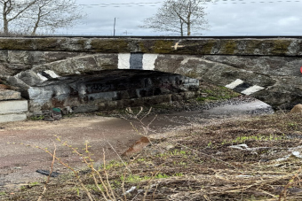 Обзорная интерактивная экскурсия по Лосево для детей и взрослых