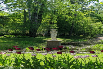Семейная прогулка по Павловскому парку