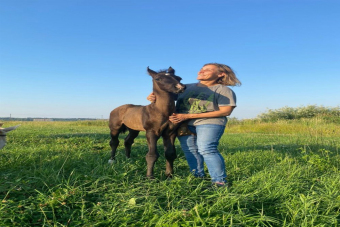 Мир лошадей: конная экскурсия