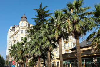 Нескучная история и очарование райских уголков Сочи