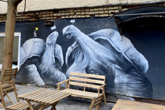 Авторская прогулка по стрит-арт дворам