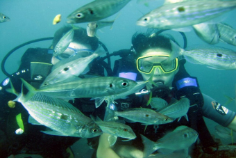 Дайвинг в Черном море