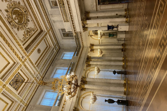 Эрмитаж. Только крысы и мы