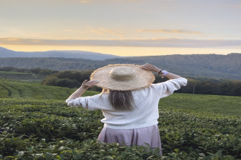 Водопады, чай и Сталин с фотосетом на камерофон Vivo X200