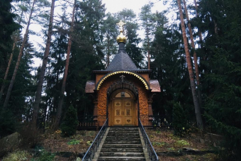 «Обитель богов» и шкатулка Пандоры» в прогулке по Репино