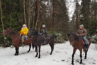 Экотур к зубрам и конная экскурсия