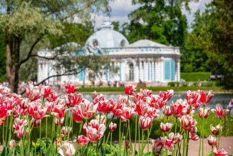 Царское Село: Екатерининский и Александровский дворцы в мини-группе