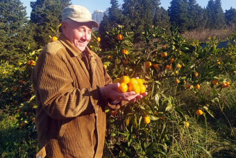 В Абхазию на джипах с вином, песней и ветерком